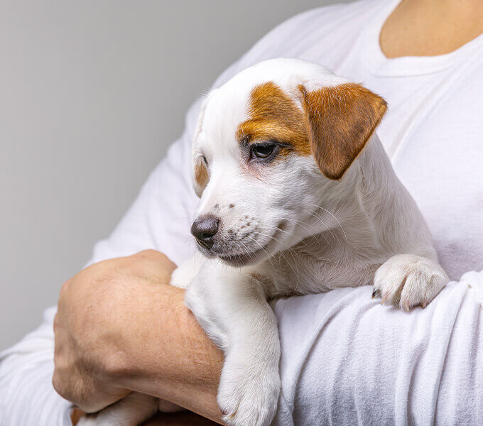 img-infoBox-1 img-infoBox-1