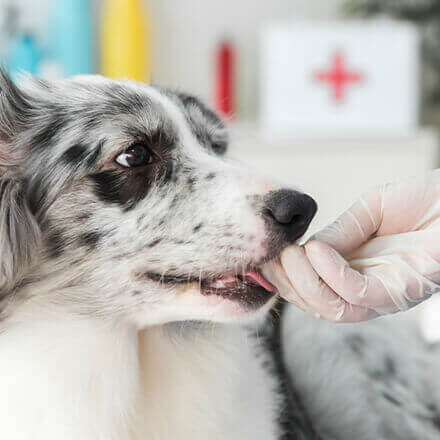 info-box-img-7 info-box-img-7